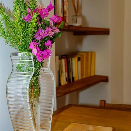 Apartman U Vermentinu Aghione